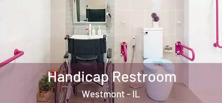  Handicap Restroom Westmont - IL