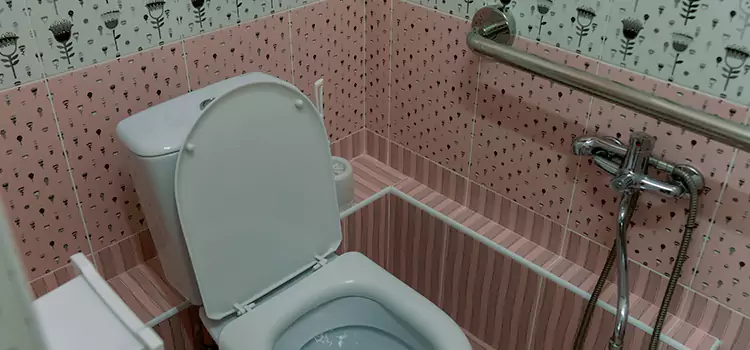Meeting Diverse Needs With Accessible Restroom Solutions in Westmont, IL